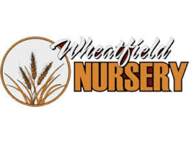$500 Wheatfield Nursery Gift Certificate and Landscape Design by Scott's