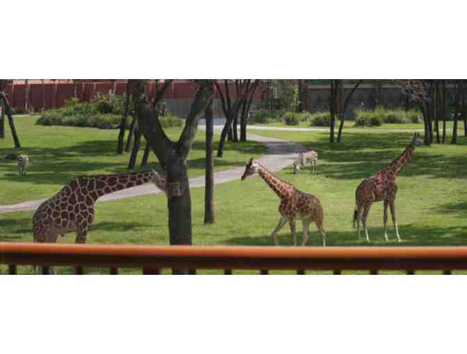 Walt Disney World's Animal Kingdom  7- Night Vacation & 4 One Day Park Hopper Passes