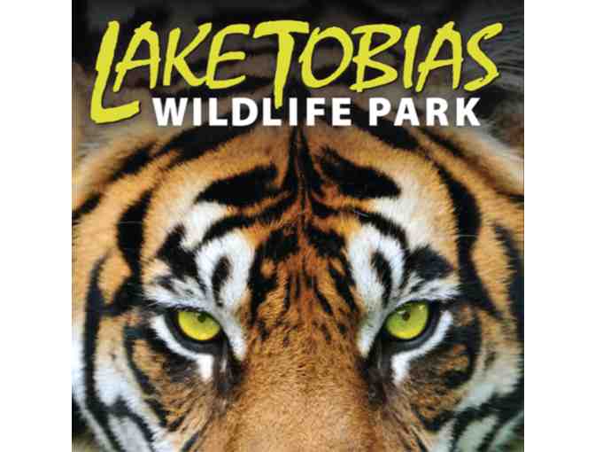 Lake Tobias Family 4 Pack Adventure Passes & 2 Jumbo Lionesses from the Animal Kingdom