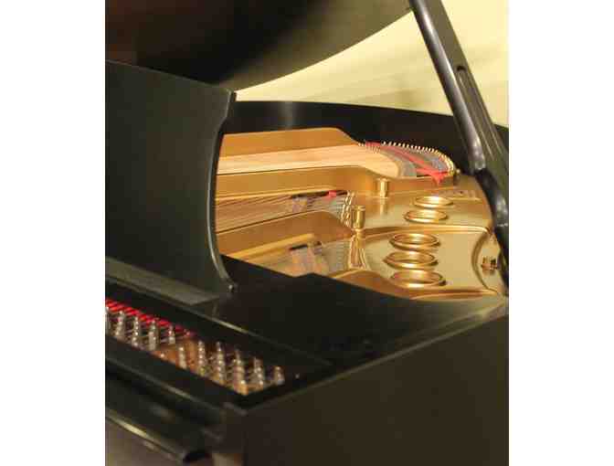 Music & Performing Arts: $10,000 Increment