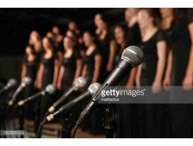 Music & Performing Arts: $500 Increment