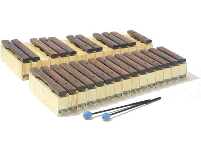 Music & Performing Arts: $500 Increment