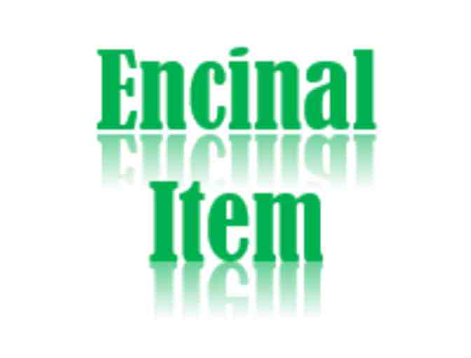 Encinal Spanish Immersion Fun - Kindergarten (Cibrowski)