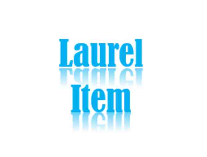 Laurel Principal for a Day