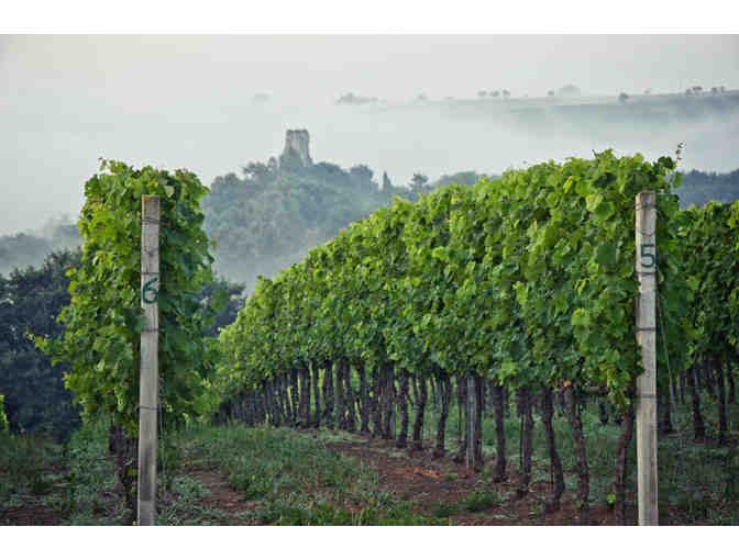 Private Italian Villa (5 bedrooms) in Orvieto ($6000)