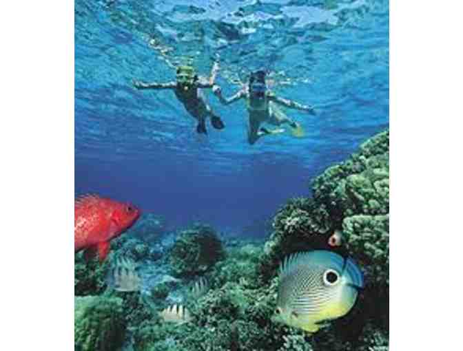 Hike Maui- East Maui Waterfalls & Rainforest Hike for 2