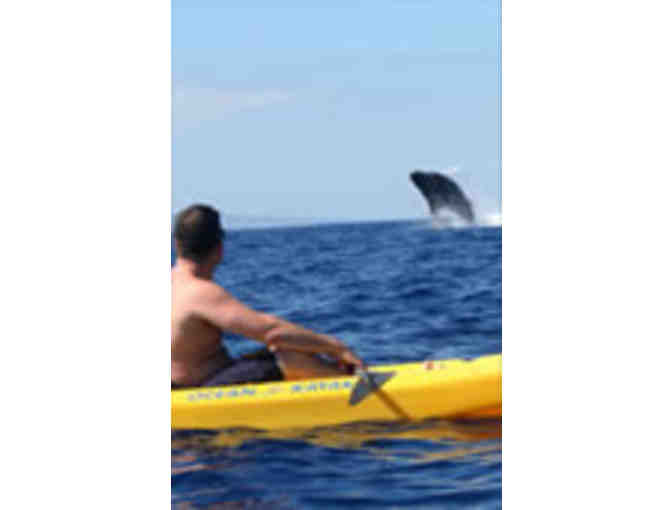 Hike Maui- East Maui Waterfalls & Rainforest Hike for 2