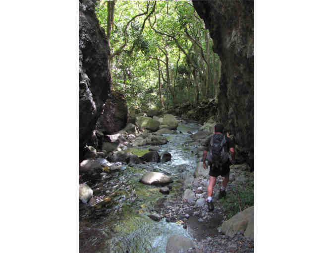 Hike Maui- East Maui Waterfalls & Rainforest Hike for 2