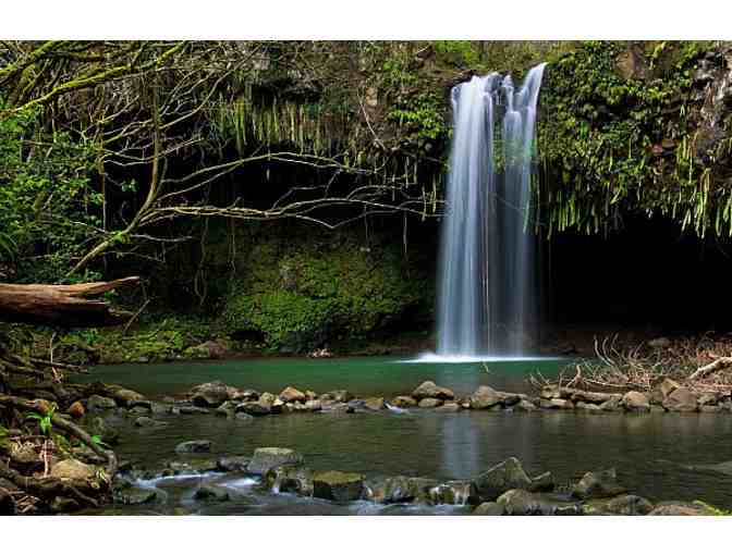 Hike Maui- East Maui Waterfalls & Rainforest Hike for 2