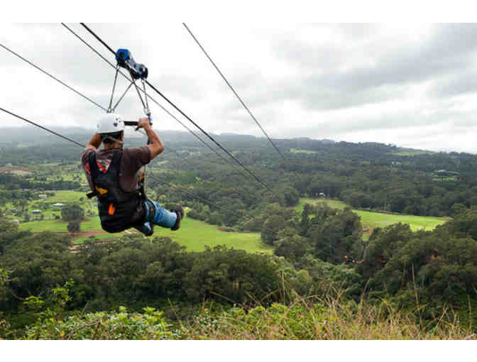 Piiholo Ranch Adventures & Zipline, Maui- Canopy Zipline Tour for 1