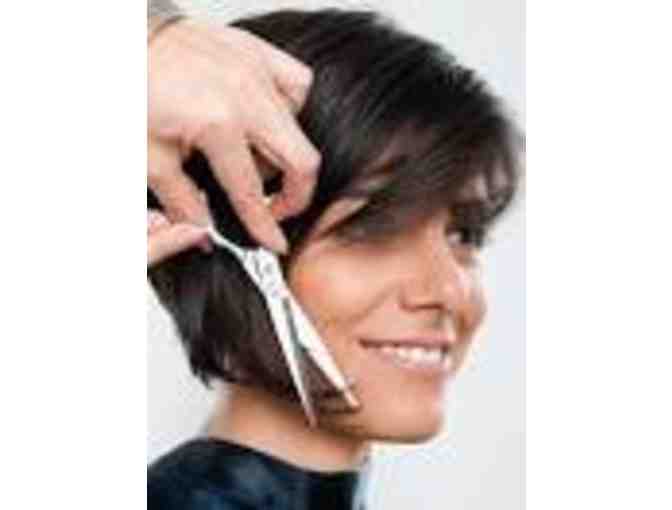 The Hair Hale - Shampoo & Blowdry w/ Amber Yeaman