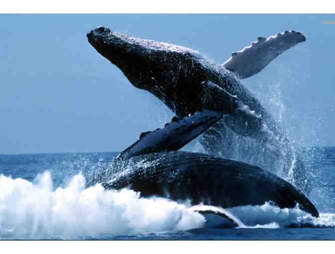 Expeditions - 2 Round Trip Tickets to Lanai