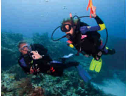 Lahaina Divers- Dive Charter to Lanai or Molokini for 2