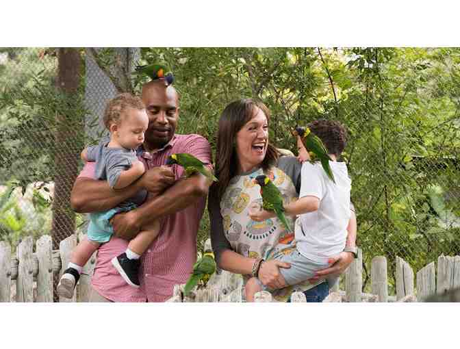 Summer Family Fun Package in San Antonio, Texas