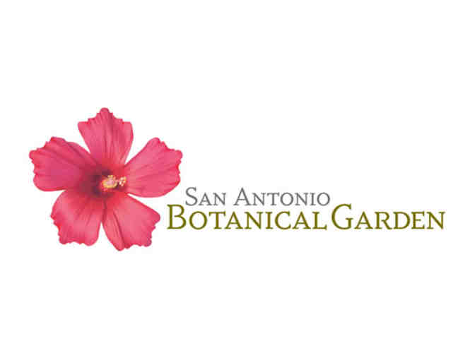 Summer Family Fun Package in San Antonio, Texas