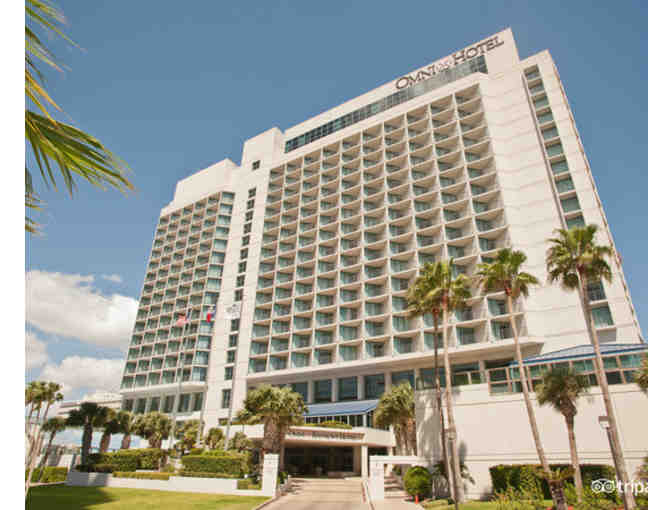 Corpus Christi Experience