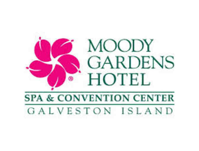 Stay and Play in Galveston Island