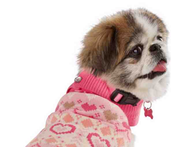 Four Pink Winter Outfits for Small Dog (17'-21')