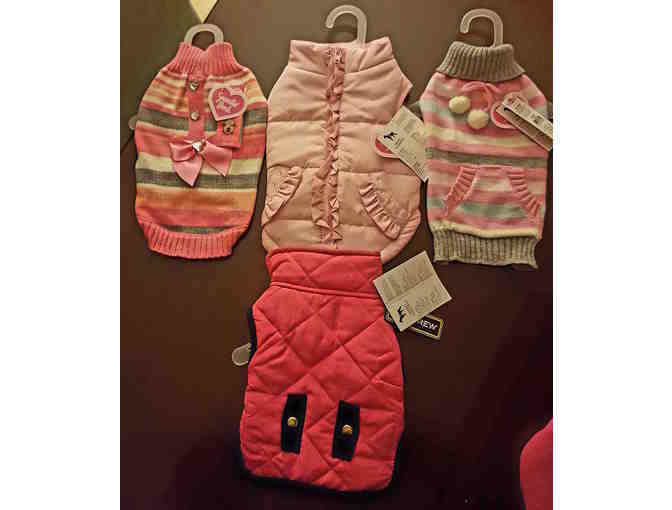 Four Pink Winter Outfits for Small Dogs (14'-17') & Small Dog Bed