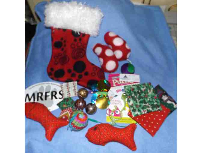 Christmas Stocking with Cat Toys