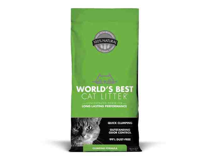 Donate Cat Litter for the Shelter Cats