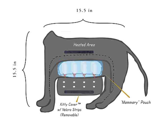 Kitten Shower: Donate a 'Surro-Kitty' (Neonatal Nursing Surrogate)