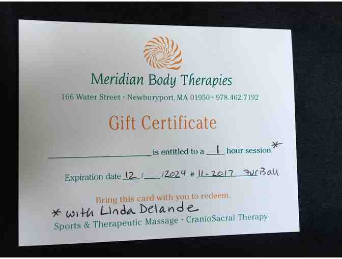 MERIDIAN BODY THERAPIES $90 GIFT CARD
