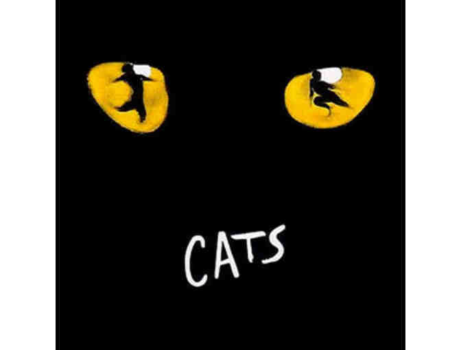 CATS, the Musical, in Boston - two center orchestra tickets - Photo 1