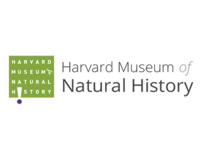 4 Passes to the Harvard Museum of Natural History