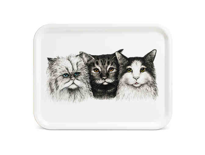 ABBOTT COLLECTION LARGE 3 CAT TRAY - Photo 1