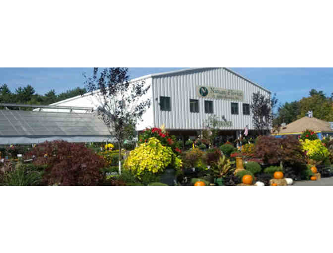 Nunan Florist and Greenhouses - $75 Gift Card