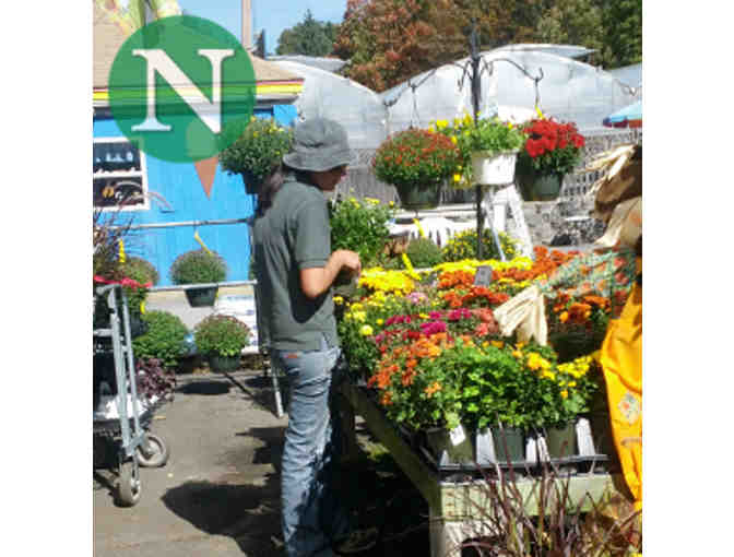 Nunan Florist and Greenhouses - $75 Gift Card