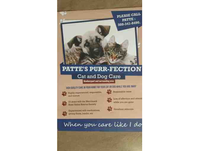 Patte's Purrfection Pet Sitting - Four In-home Visits Within 10 Miles of Newburyport