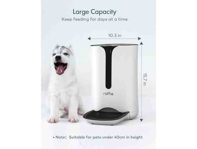Roffie Automatic Cat Feeder with Timer