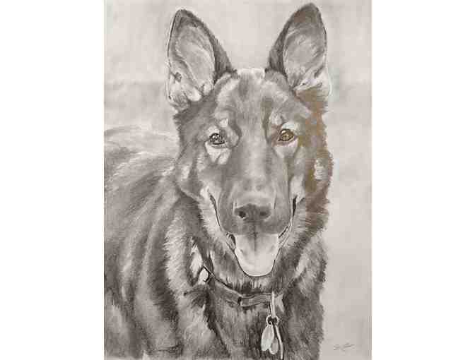 Graphite Drawing or Acrylic Painting of Your Pet