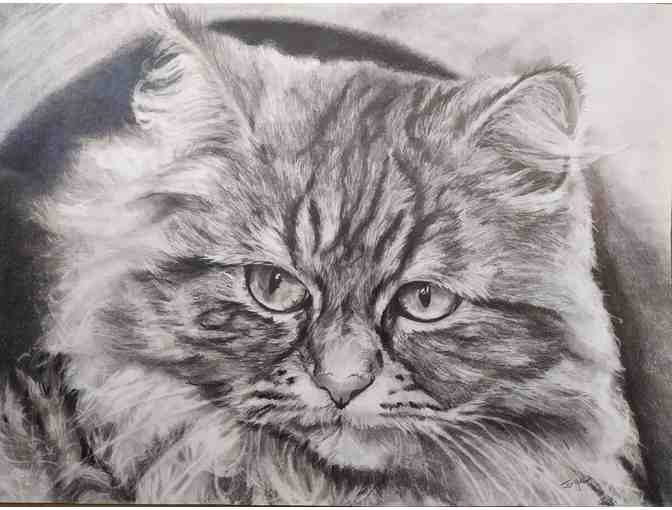 Graphite Drawing or Acrylic Painting of Your Pet