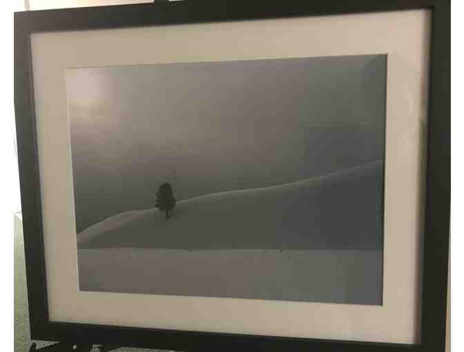 Blizzard Soda Butte Valley, Yellowstone Park - Framed Photograph