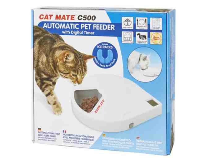 Pet Automatic Feeder & Porcelain Water Fountain