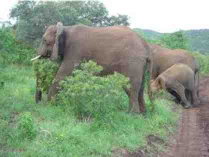 African Photo Safari Adventure