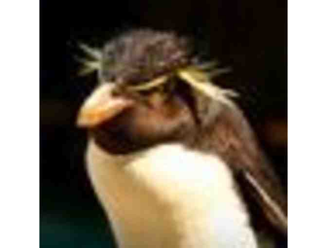 NEW ENGLAND AQUARIUM - 2 TICKETS