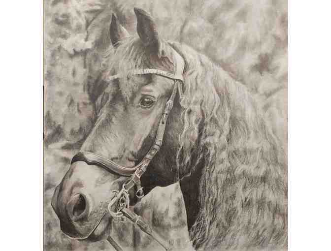 Donate $10 for a Chance to Win a Pet Portrait!