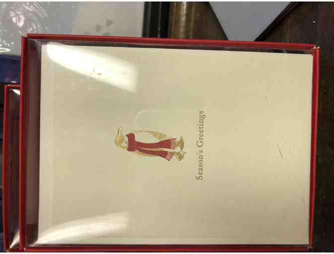 Penguin Holiday Package