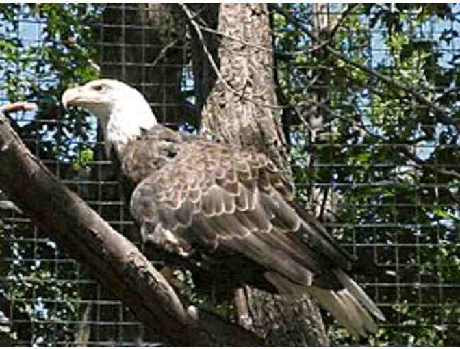 EcoTarium -Admission Passes for 2 Adults and 2 Children