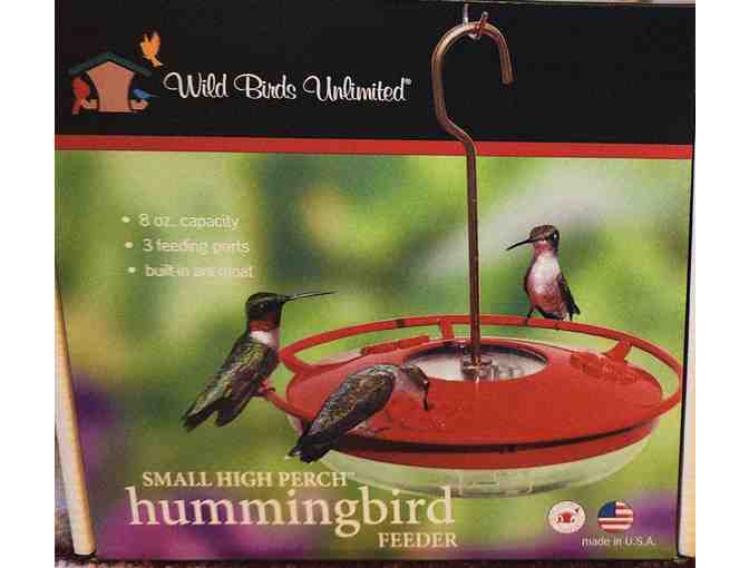 Hummingbird Feeder & Nectar