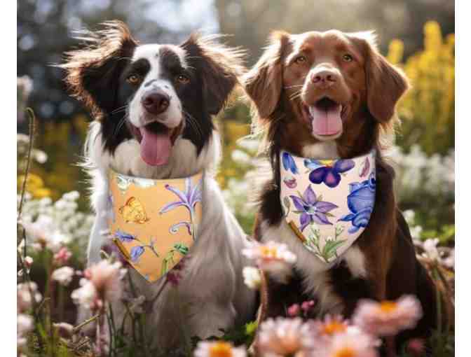 Tail-Wagging Trio: Pride Bandanas, Formal Bow Tie Collar & Reversible Summer Bandanas