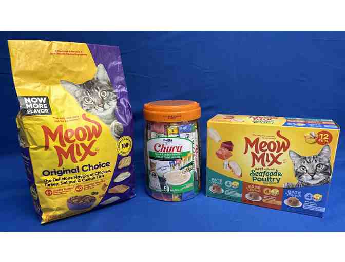 Cat Care Bundle