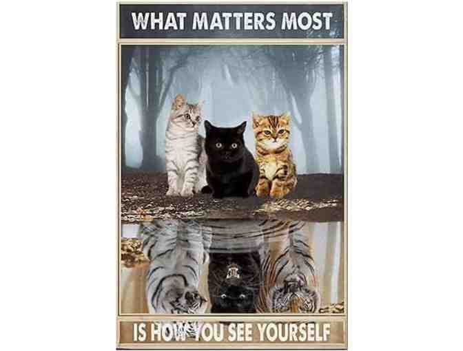 Cat Home Decor Bundle