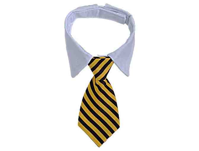 Tail-Wagging Trio: Pride Bandanas, Formal Bow Tie Collar & Reversible Summer Bandanas