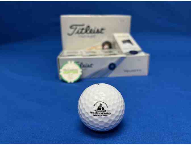 Tree House Brewing Company Bundle