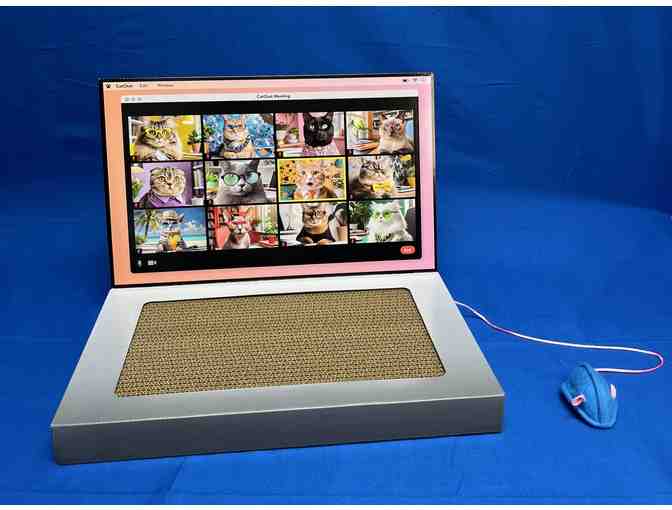 Work from Home Kitty Bundle